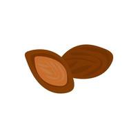 Apricot pits. Almonds in shells. Walnut kernel. isolated on white background. core of fruit. Replacement of nut. Ingredient for cosmetics, scrub. Doodle. Vector illustration