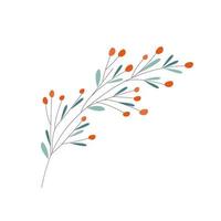 sea buckthorn clip-art. Isolated branch of a plant on a white background. Stylized fruits. For design postcard, business card, invitation, tag, price tag, advertising. Vector illustration, hand draw