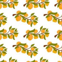 Endless apricot or peach print. Branches fruit pattern. Background for printing on fabric, paper, packaging. Vector illustration, cute cartoon style hand-drawn