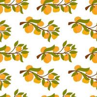 Endless apricot or peach print. Branches fruit pattern. Background for printing on fabric, paper, packaging. Vector illustration, cute cartoon style hand-drawn