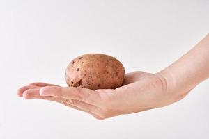 Woman hand hold potato tuber on a white background photo