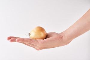 Woman hand hold full onion head on a white background photo