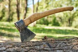 Close up of ax in felled tree in the forest photo