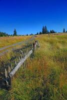 old fence and idilic landscape photo