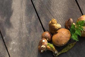 Fresh forest mushrooms on a wooden background. Natural flat lay, gifts of the forest, boletus, white mushroom. Frame, space for text photo