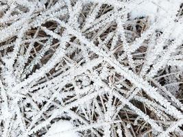 Ice crystals on dry grass. Frosty pattern in nature in winter from frost and snow. Background, space for text. photo