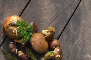 Fresh forest mushrooms on a wooden background. Natural flat lay, gifts of the forest, boletus, white mushroom. Frame, space for text photo