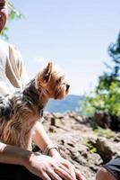 mujer joven sosteniendo un pequeño cachorro de perro yorkshire terrier caminando por las montañas foto