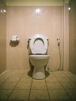 toilet bowl in a bathroom.vintage filter photo