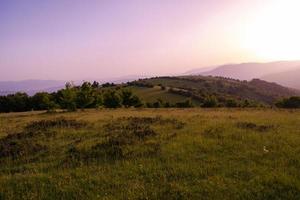 landscape nature summer photo