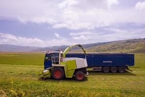 combine machine loading bunker of the truck photo