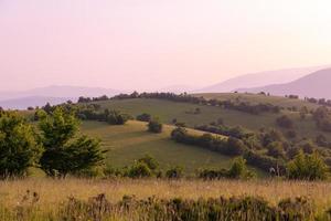 landscape nature summer photo