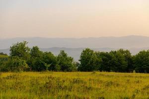 landscape nature summer photo