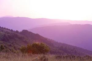 ultra violet purple summer landscape photo