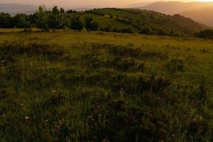 paisaje naturaleza verano foto