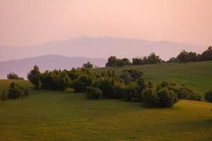 landscape nature summer photo