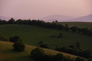 landscape nature summer photo