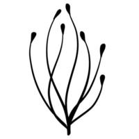 Natural plant. Abstract doodle flower. Sketch black and white Stem with leaves vector