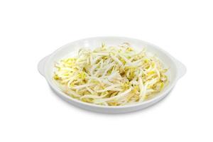 Bean sprouts with dish isolated on white background,clipping path photo