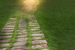 stone walkway and green grass in garden photo