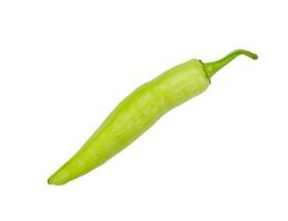 green pepper on a white background photo