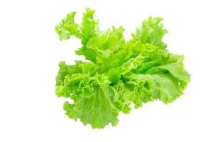 Lettuce leaves isolated on white background photo