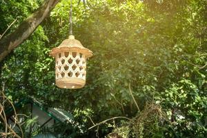 earthenware lamp hanging on the tree photo