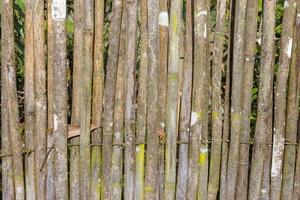 fences bamboo background photo