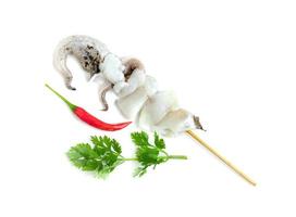 tentacles of squid with skewer isolated on white background photo