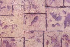 old bricks floor,texture background. photo