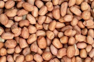 raw peanuts isolated on white background photo