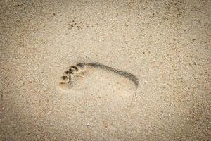 Foot prints on a sandy beach photo