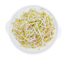 Bean sprouts with dish isolated on white background,clipping path photo