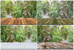 Set top desk with garden arrangement blurred background photo