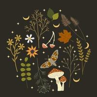 Botanical composition with autumn flowers, leaves, mushrooms, moon and a butterfly placed in circle on a dark background. Template for invitation, card, print for clothes. Vector illustration.