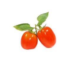 Fresh tomato on a white background photo