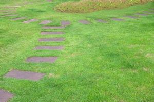 stone walkway in garden photo