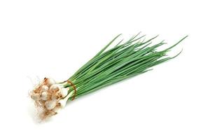 leaf spring onion isolated on white background ,Green leaves pattern photo