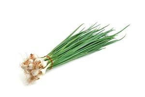 leaf spring onion isolated on white background ,Green leaves pattern photo