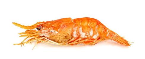 roasted river shrimp common isolated on white background ,grilled prawn photo