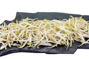 Bean sprouts with stone on white background photo