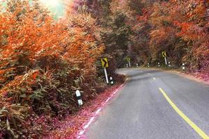 camino en el bosque con señal de tráfico de giro a la izquierda, efecto de filtro foto