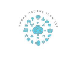 Human organs icon set design on white background. vector