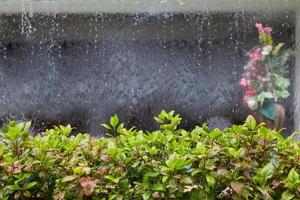 plantas ornamentales con cortina de agua y florero desenfoque de fondo foto