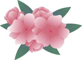Camellia Flower vector Pro Vector
