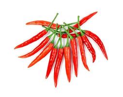 red chili pepper isolated on white background photo