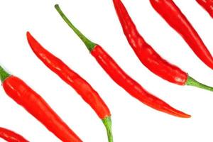 red chili pepper isolated on white background photo