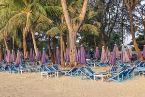 Beach chairs with closed sun umbrellas photo