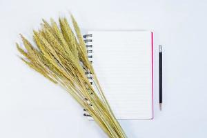 open note book with pencil and grass flowers on background photo