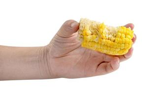 Hand holding bitten corn isolated on white background ,include clipping path photo